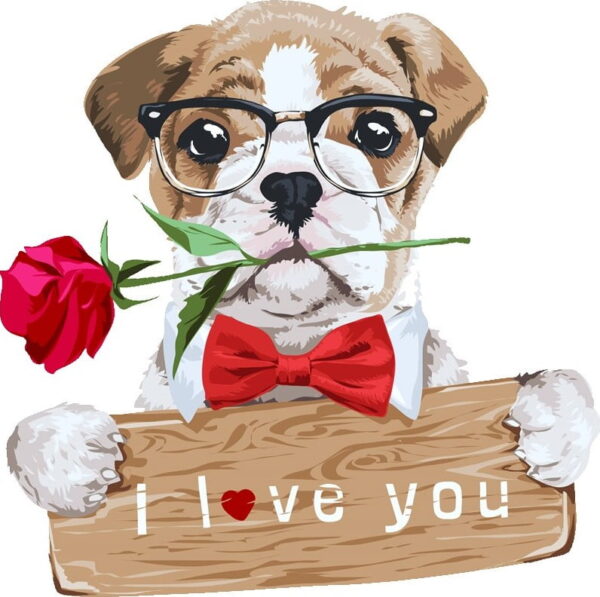 Conjunto Melina Rojo Perrito - Image 3